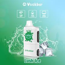 Vookbar Disposable Pod without Battery 12k Puffs At Best Price In Pakistan